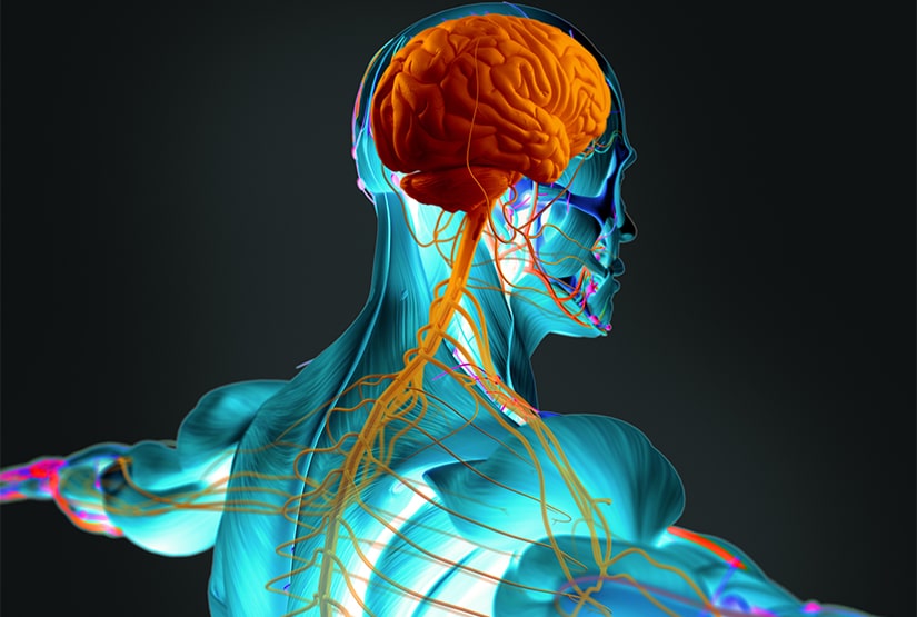 Neurocalibrate How it Works Neurocalibrate How it Works